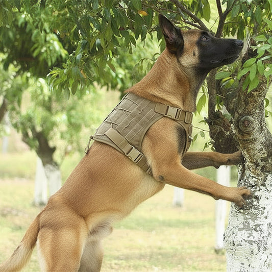 Adjustable tactical dog harness vest for medium to large dogs