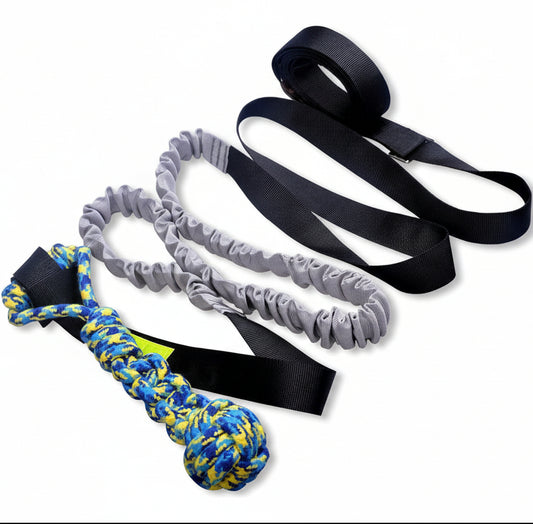 Interactive outdoor bungee dog toy, solo entertainment