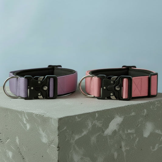 Durable metal buckle collars for medium to large dogs