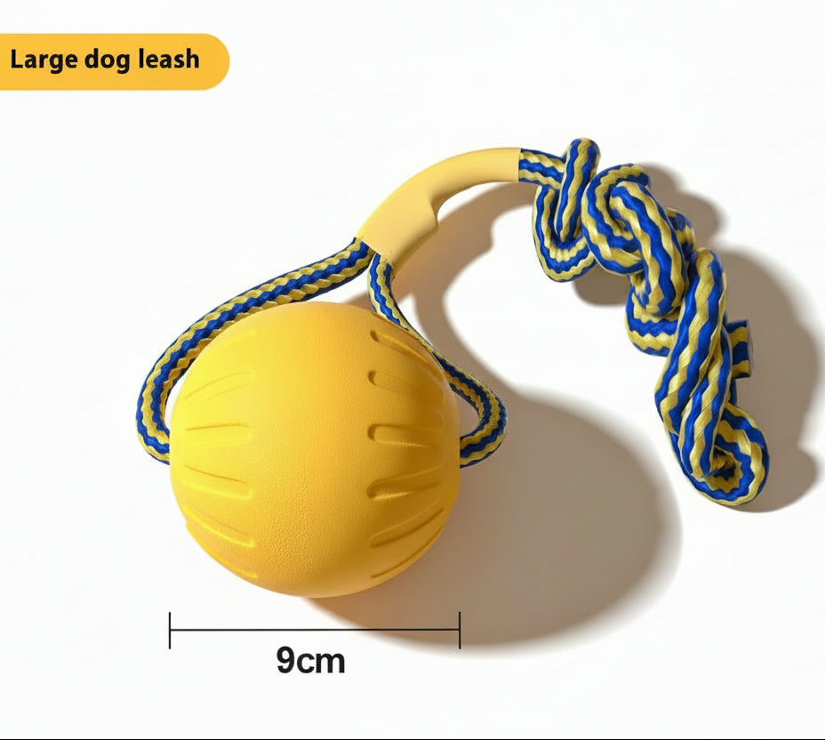 Dog toys for training and promotes dental health