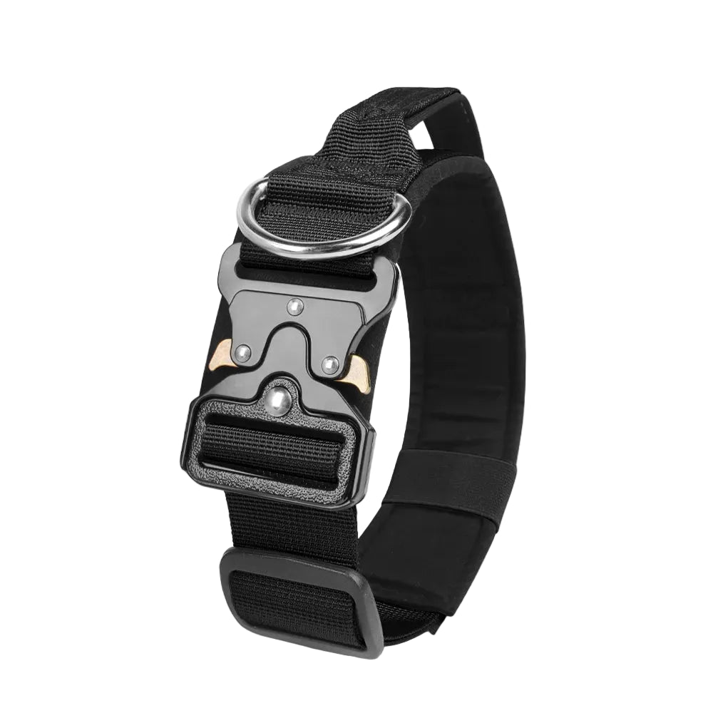 Durable metal buckle collars for medium to large dogs