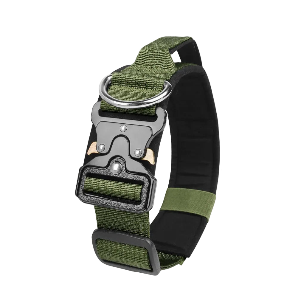 Durable metal buckle collars for medium to large dogs