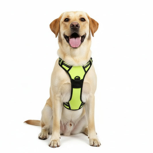 Reflective Adjustable Breathable Vest Chest Strap for dogs
