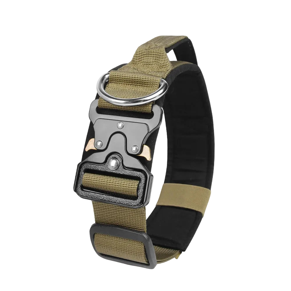Durable metal buckle collars for medium to large dogs