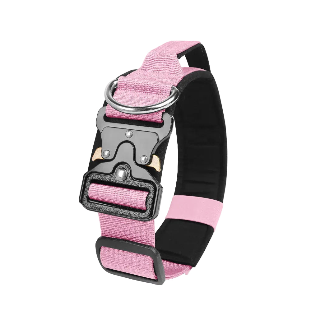 Durable metal buckle collars for medium to large dogs