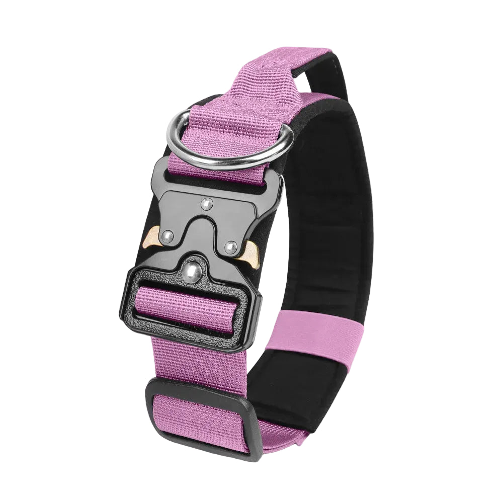 Durable metal buckle collars for medium to large dogs