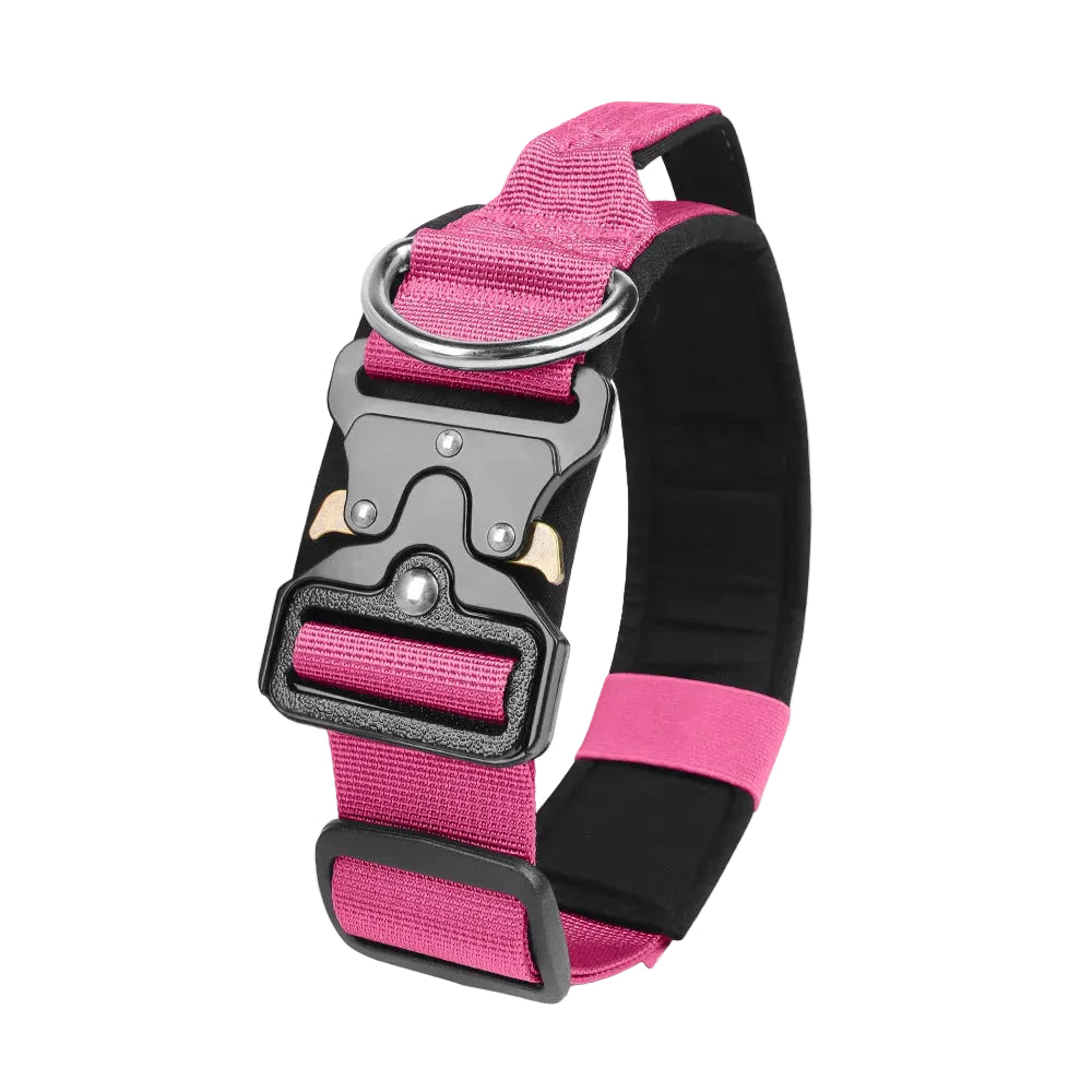 Durable metal buckle collars for medium to large dogs