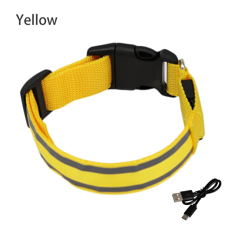 Luminous night safety USB rechargeable LED dog collar