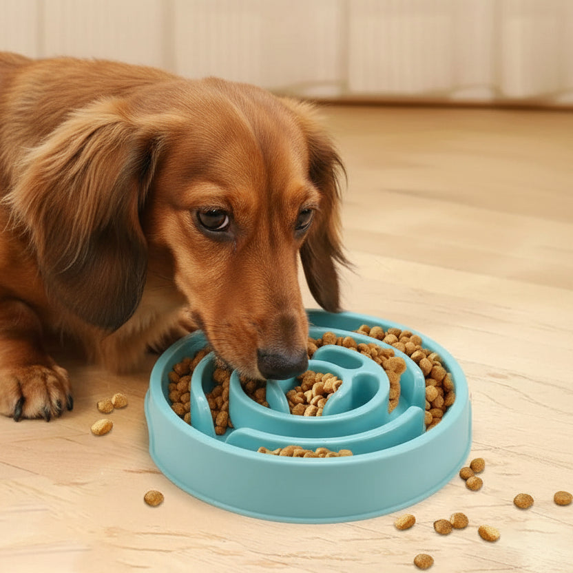 Plastic slow feeder bowl, non-Slip, maze design