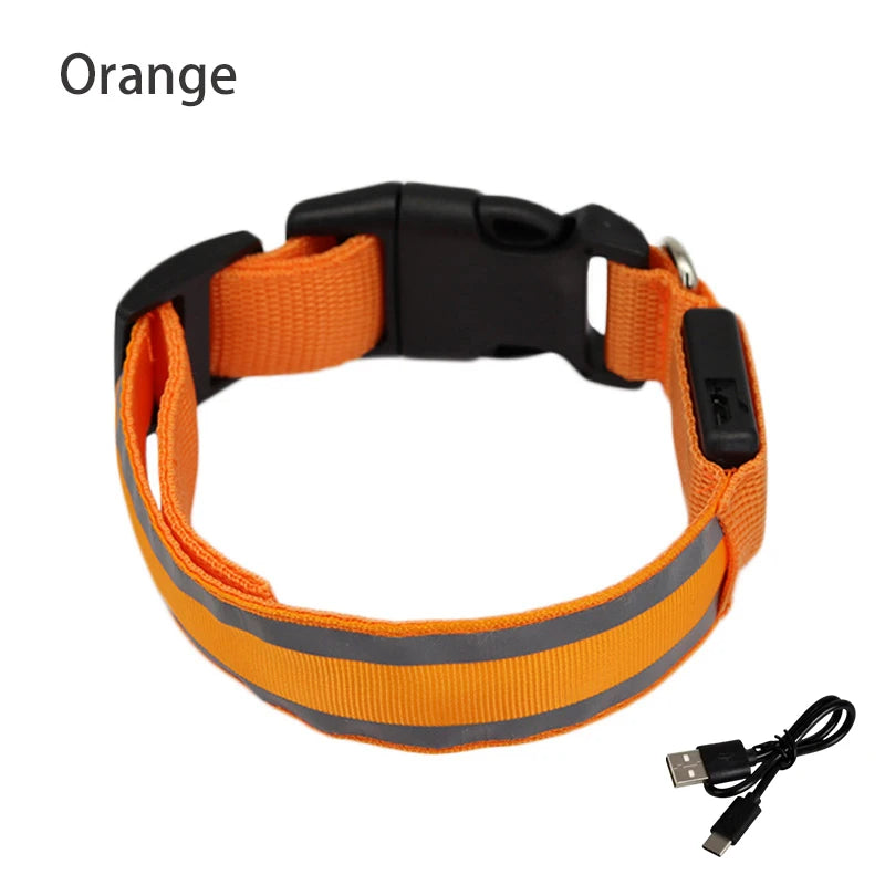 Luminous night safety USB rechargeable LED dog collar
