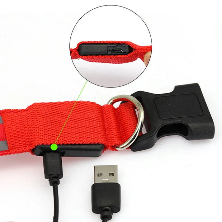Luminous night safety USB rechargeable LED dog collar