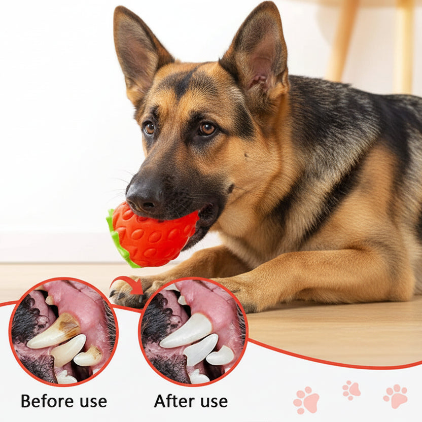 TPR Dog Chew Toys, Strawberry Shaped Food Leaking
