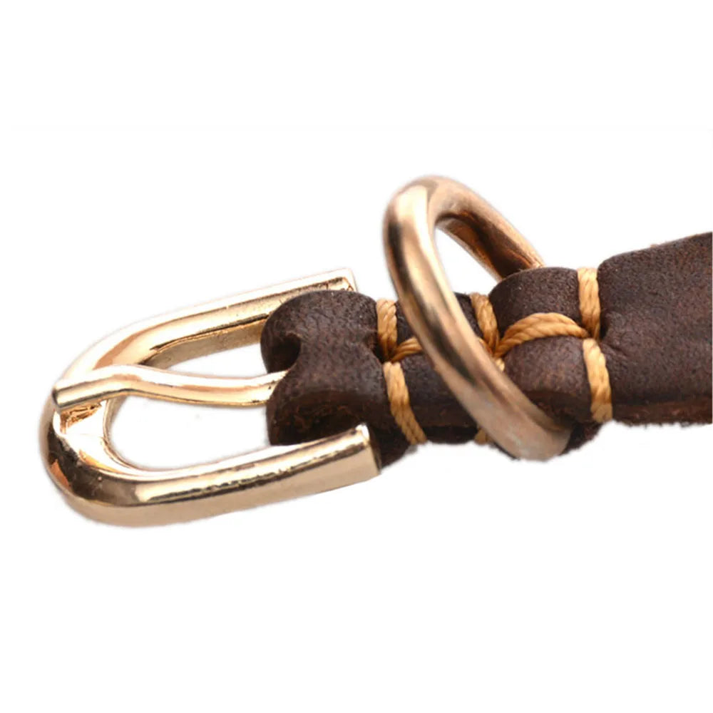Adjustable genuine Leather dog collar for small Dogs