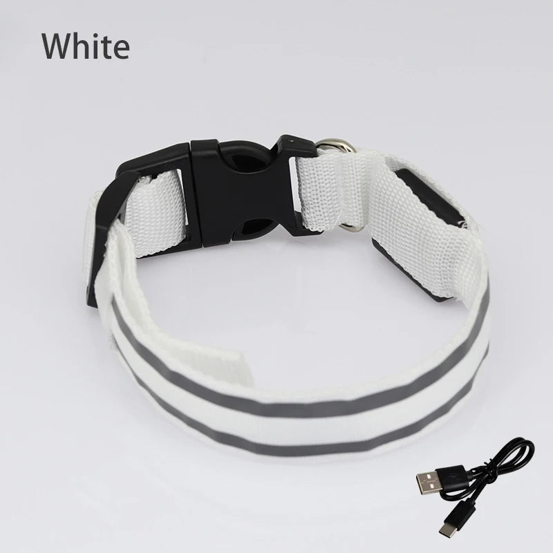 Luminous night safety USB rechargeable LED dog collar