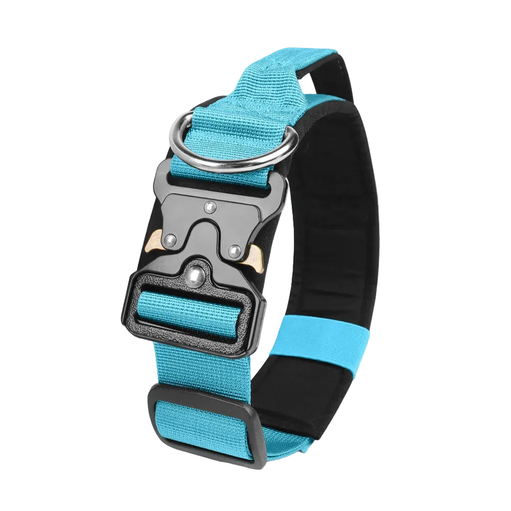 Durable metal buckle collars for medium to large dogs