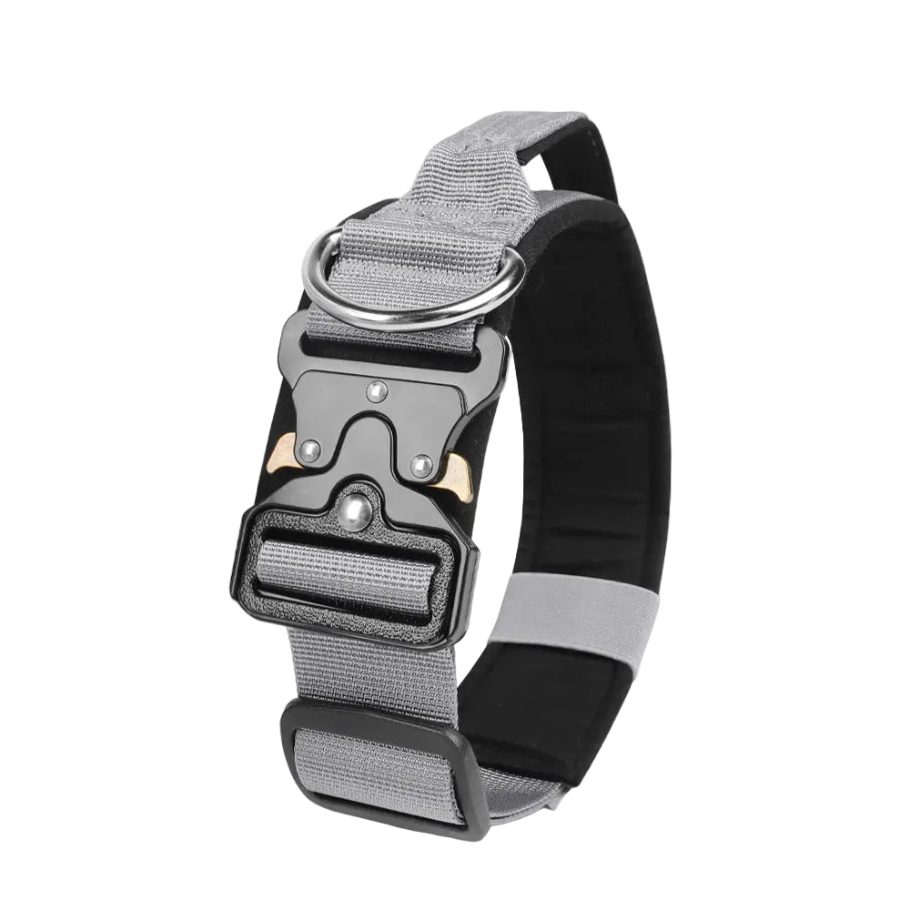 Durable metal buckle collars for medium to large dogs