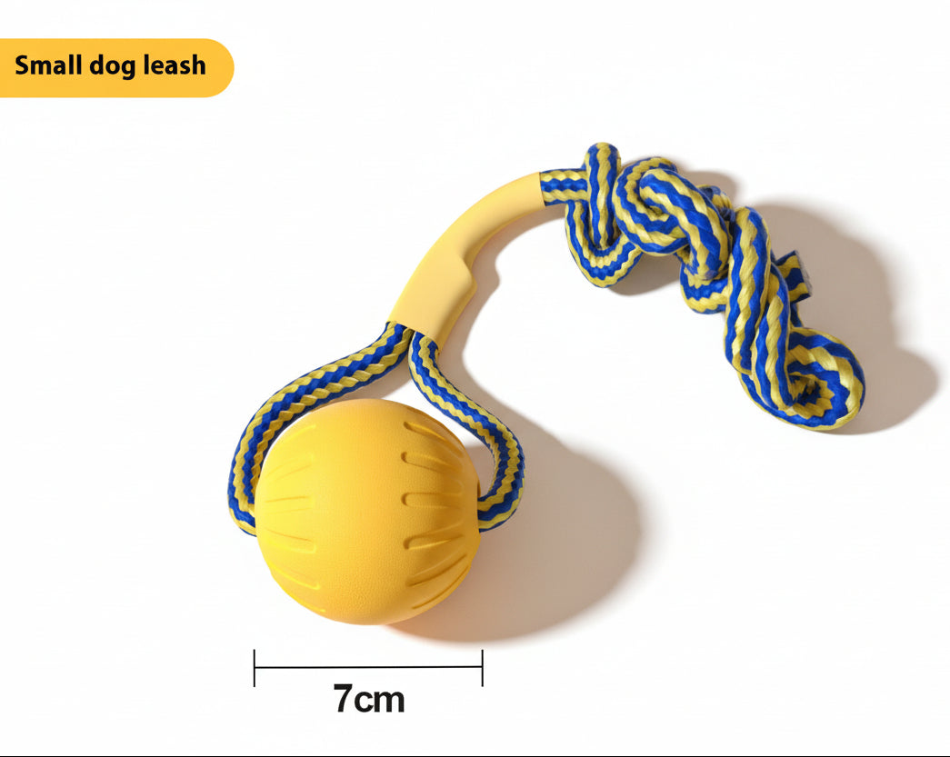 Dog toys for training and promotes dental health