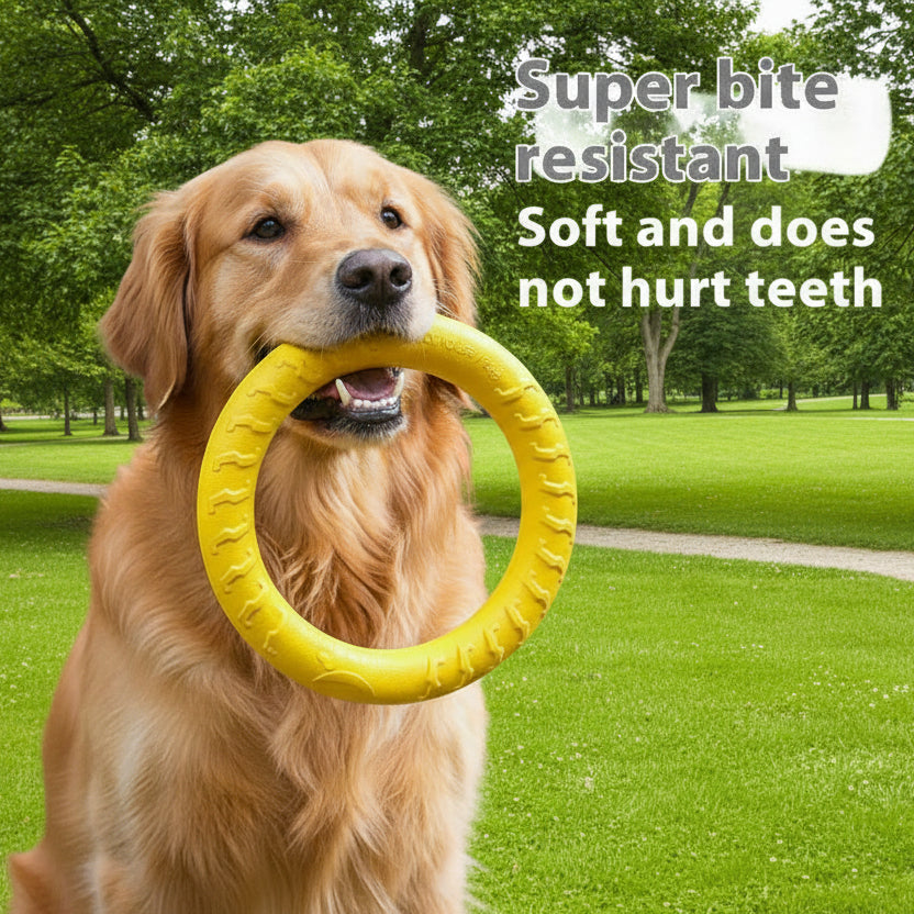 Dog toys for training and promotes dental health