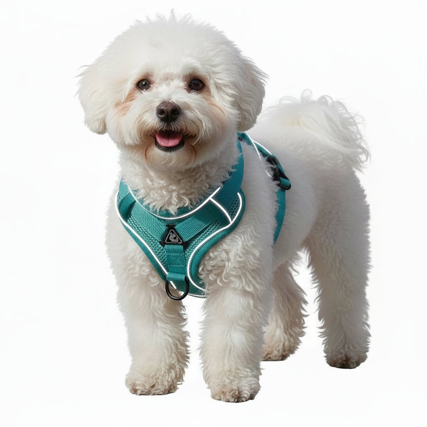 Harness vest and Leash set reflective for dogs