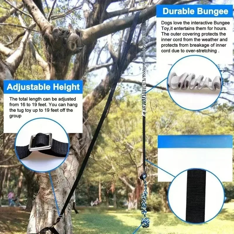 Interactive outdoor bungee dog toy, solo entertainment