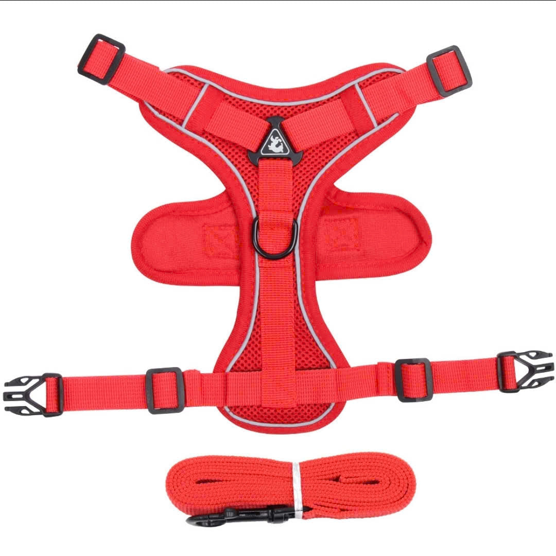Harness vest and Leash set reflective for dogs